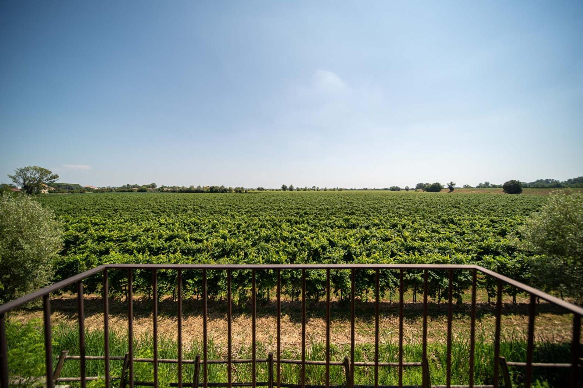 Borgo Ronchetto Ξενοδοχείο Salgareda Εξωτερικό φωτογραφία
